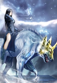 独行侠日记
