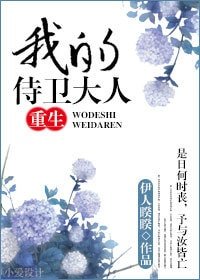 我的侍卫大人(重生)