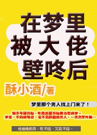 《在梦里被大佬壁咚后》