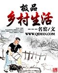 《极品乡村生活》