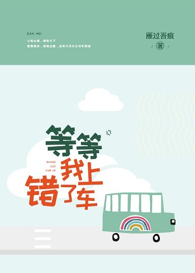 《等等,我上错车了》
