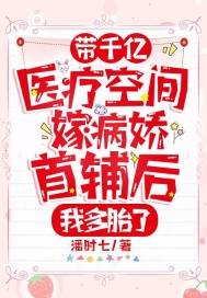 帶千億醫療空間嫁病嬌首輔後,我多胎了
