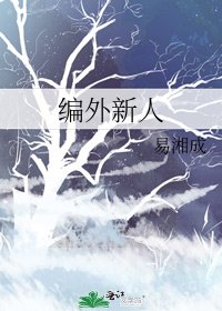 编外新人