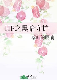 《HP之黑暗守护》