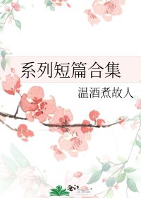 《系列短篇合集》