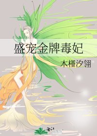 《盛宠金牌毒妃》