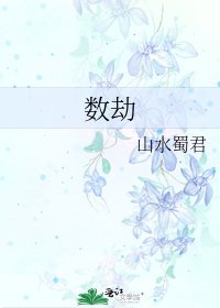 《数劫》