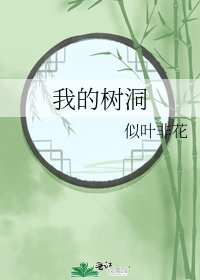 《我的树洞》