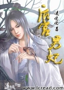 宮外風起(後宮男妃後傳)